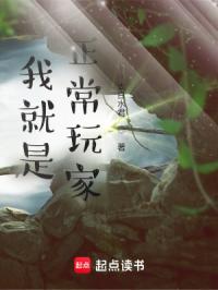 我就是正常玩家!封面