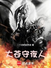 大苍守夜人封面